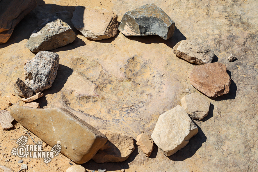 Dinosaur Footprint – Buckhorn Draw, Utah