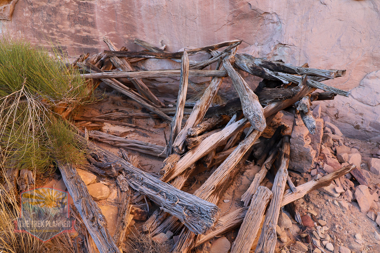 Ruin Loop Trail