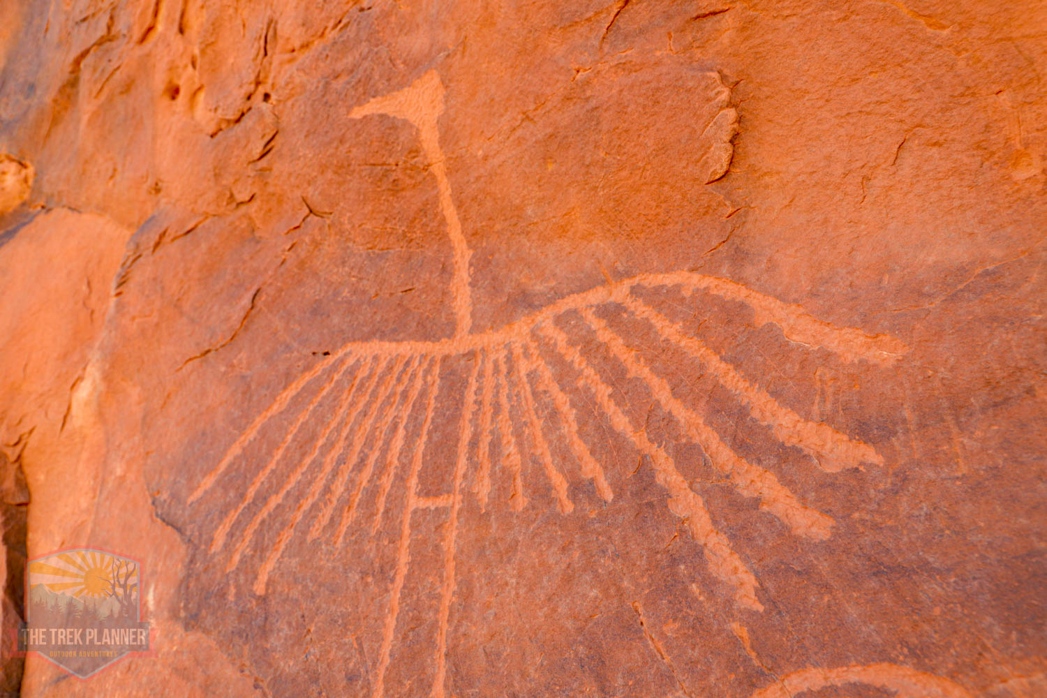 Big Crane Petroglyph Panel