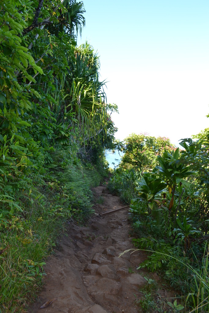The trail going to Hanakapiai Beach