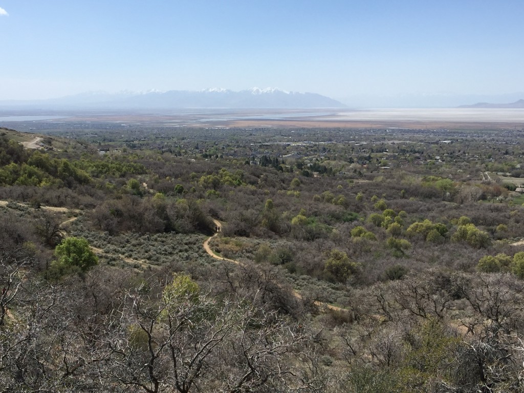 Looking down on the trails from the Bonneville Shoreline Trail