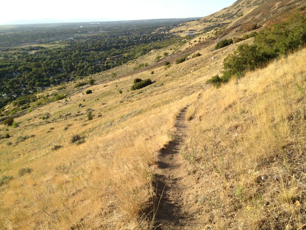 This is the same trail you use to get to Patsy's Mine.