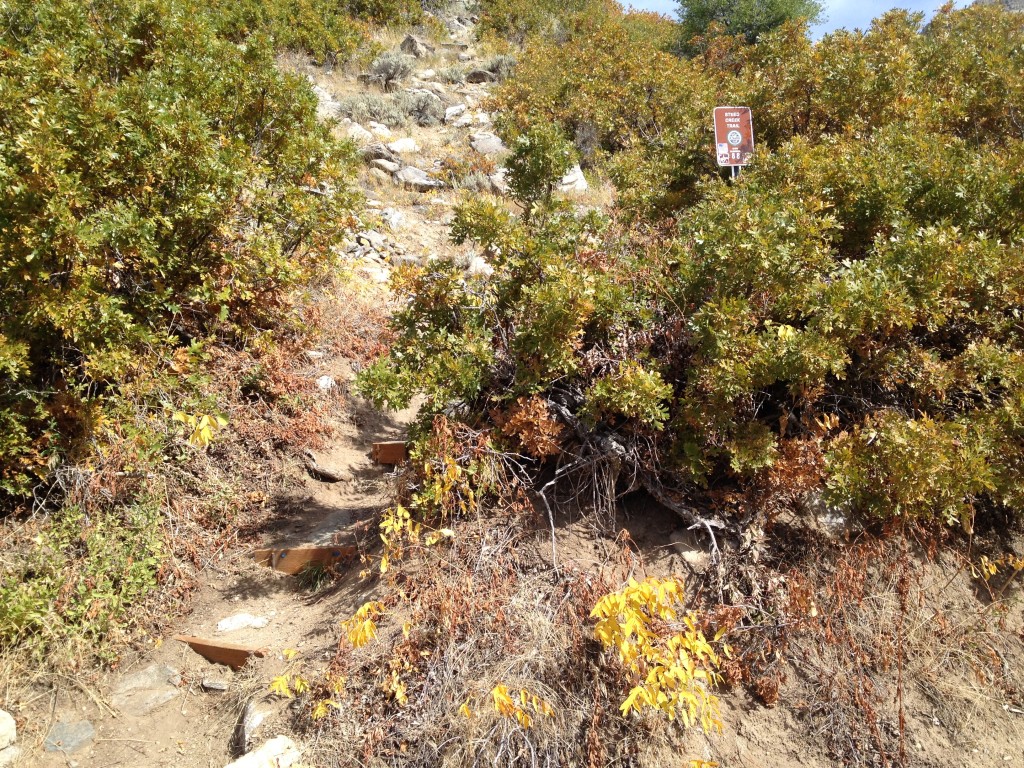 At the beginning of the Steed and Hornet canyon trail