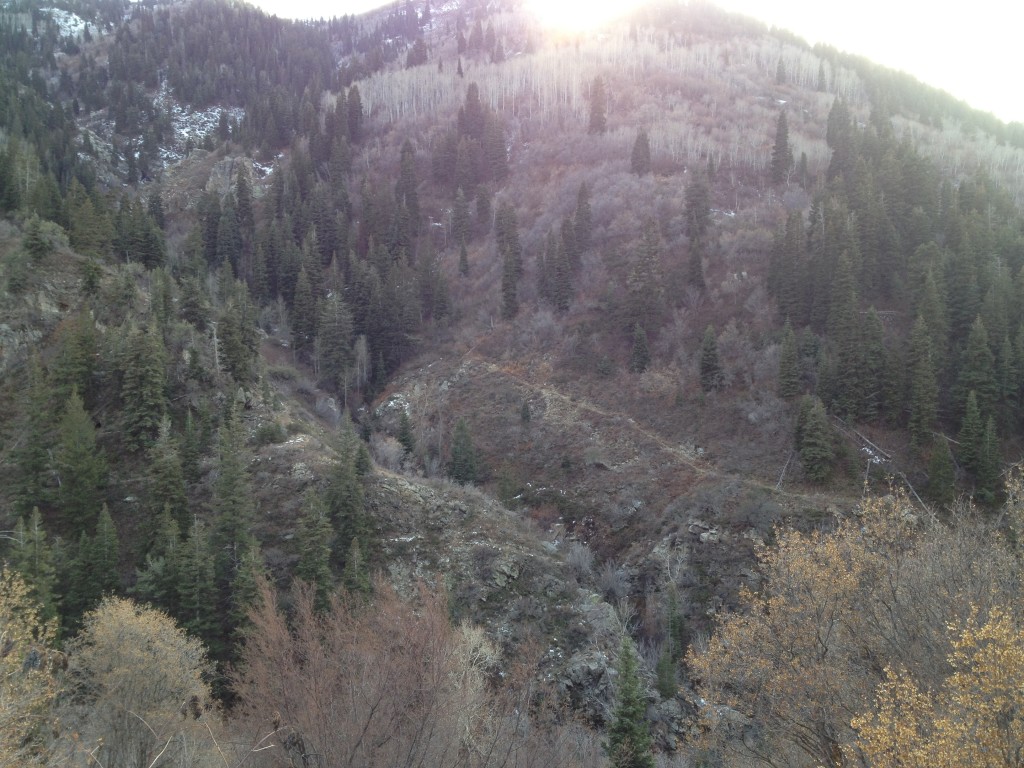 This is looking across the canyon into Miller Creek