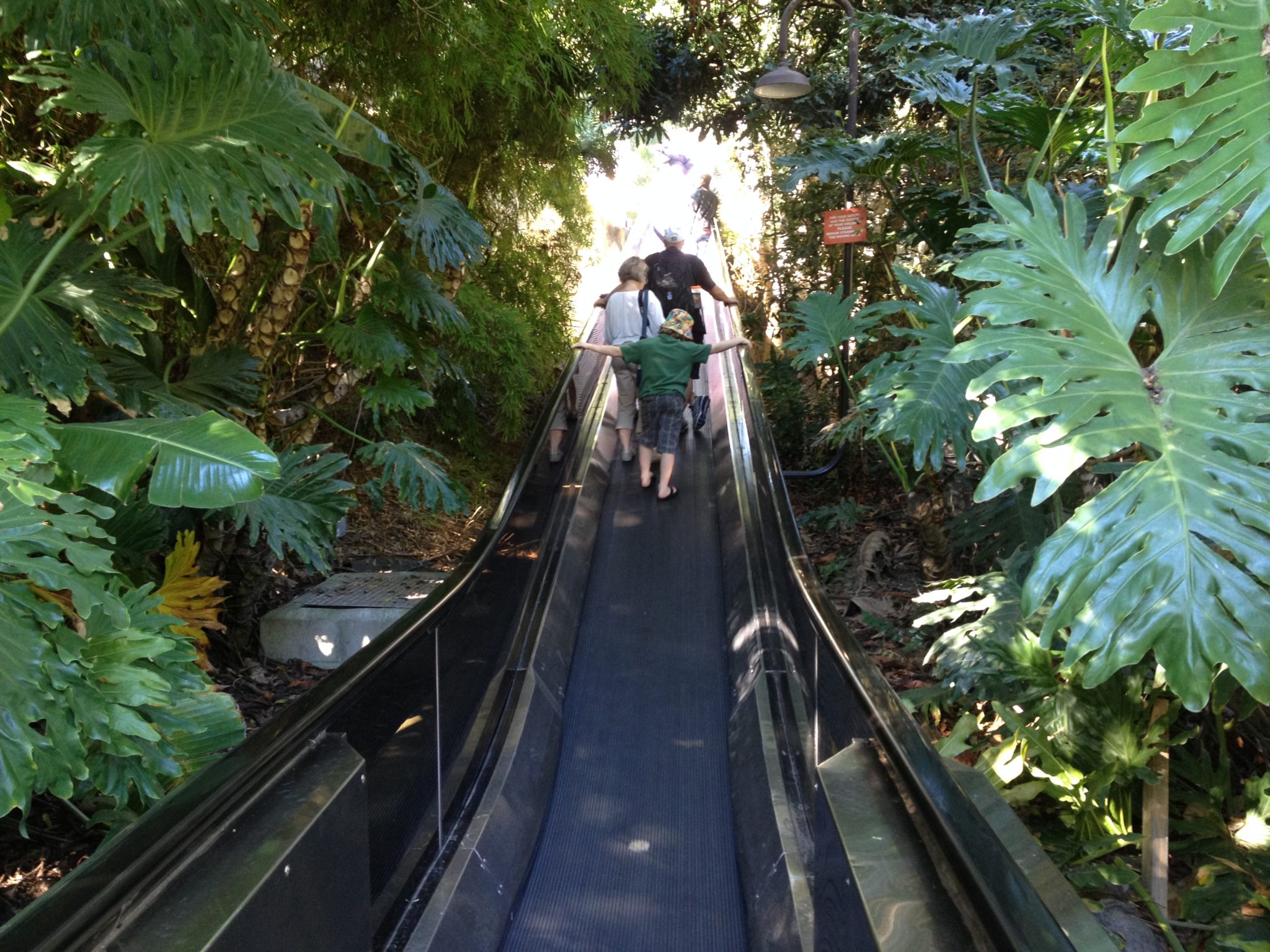 Escalator going up to the top of the Park Way 