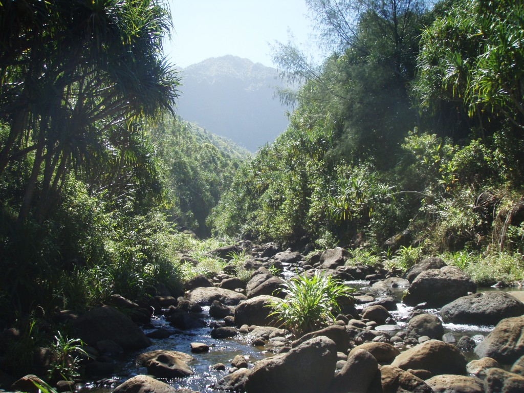 The creek near Hanakapiai Beach
