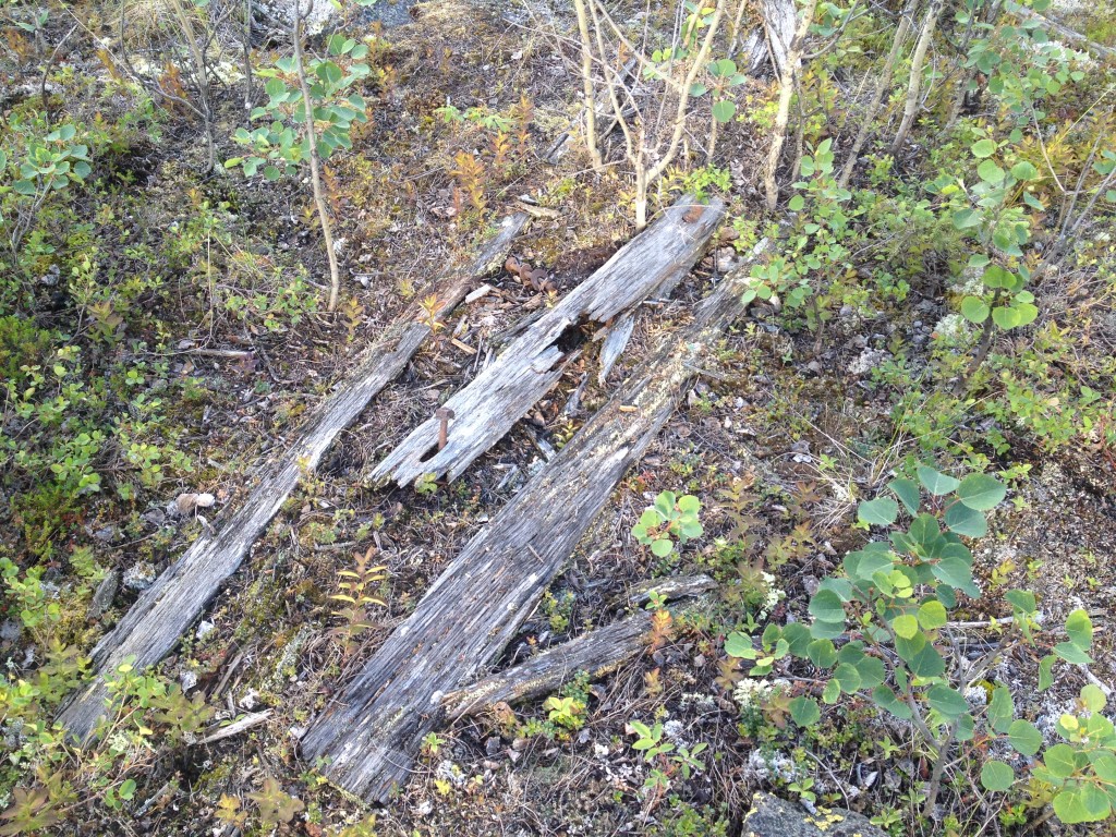 More pieces of wood scattered about