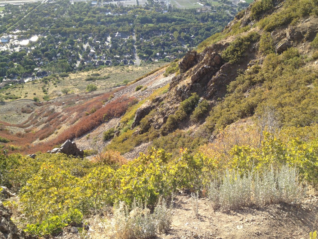 The trail is narrow and steep at times. I took this picture looking down towards Patsy's Mine.