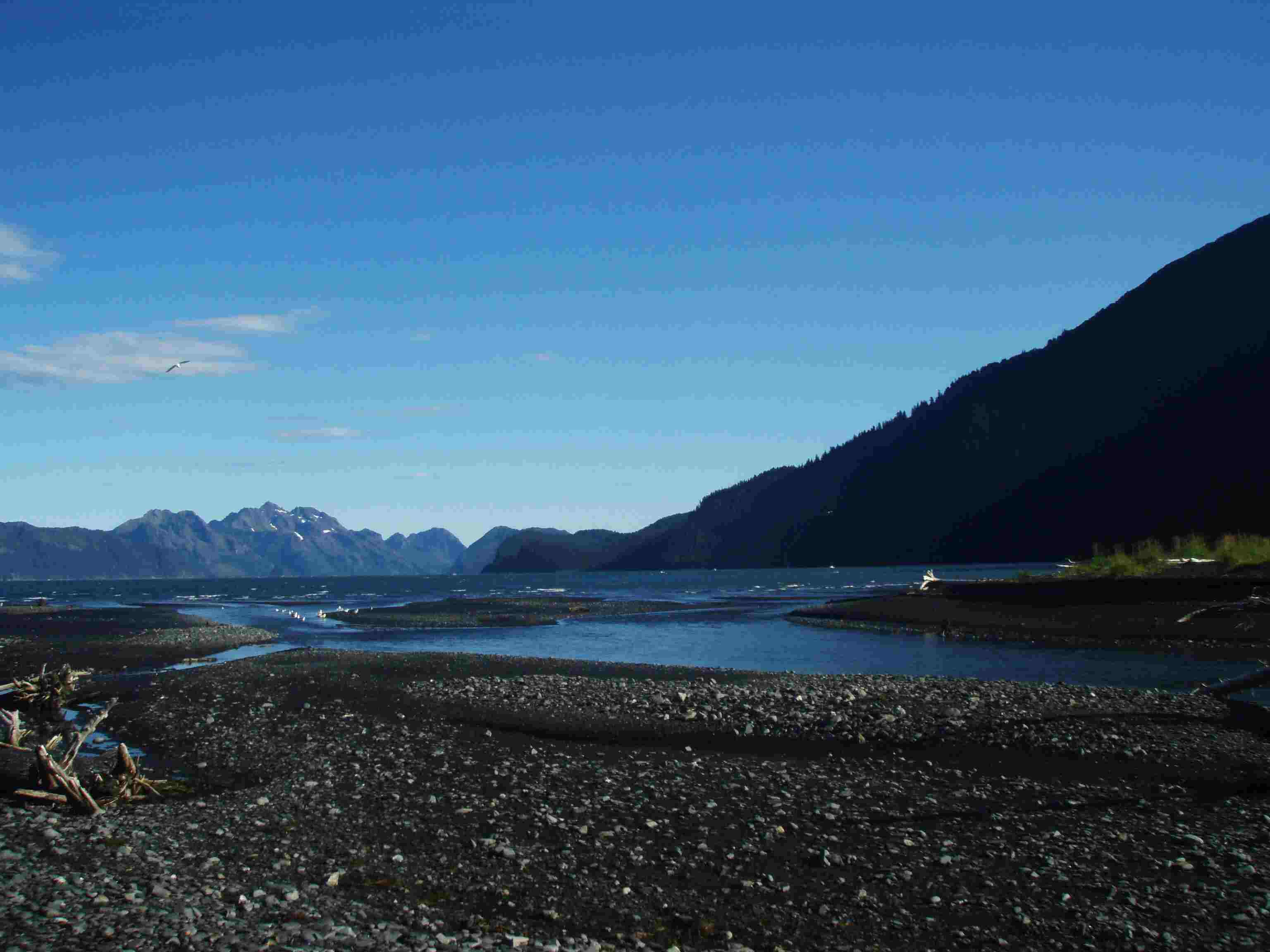 Tonsina Creek Seward Alaska