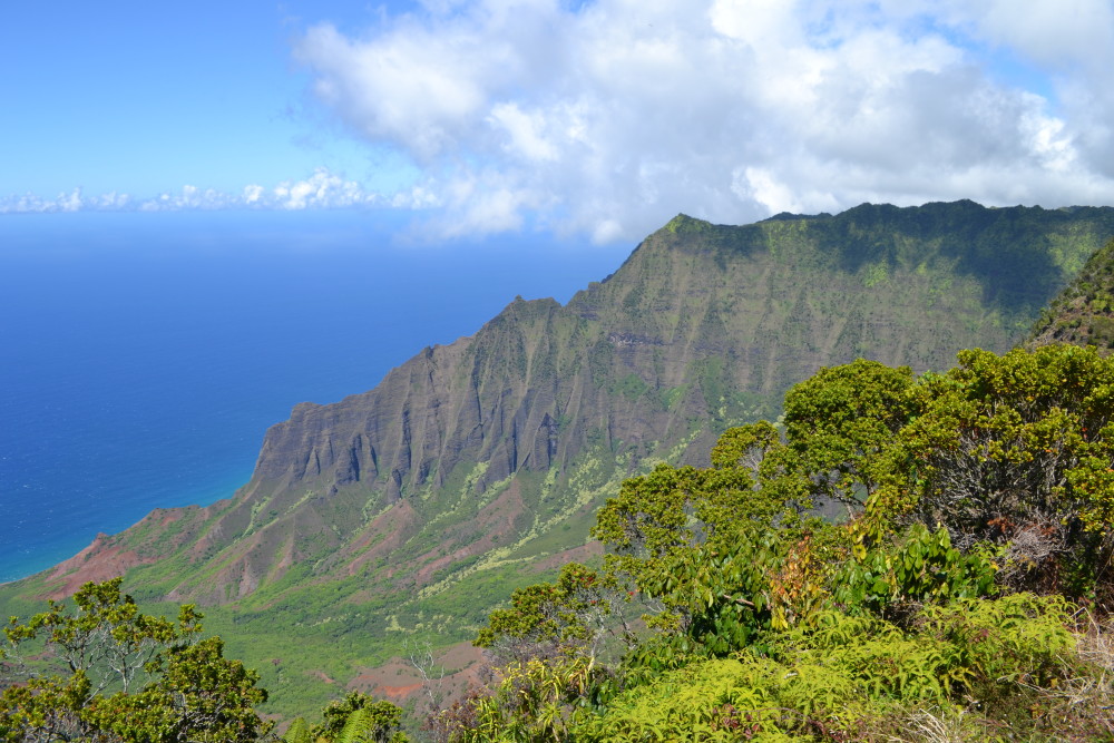 Kalalau Valley Lookout and Kanaloahuluhulu Meadow – Kauai, Hawaii – The ...