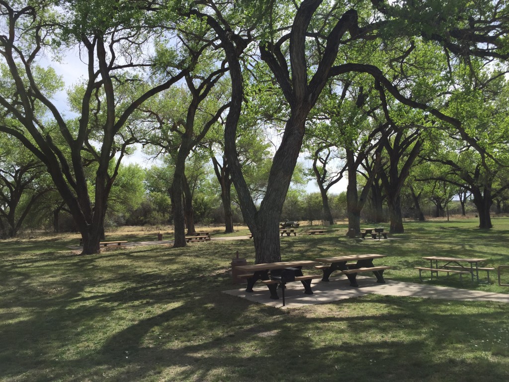 Picnic Area - lots of picnic tables with grills