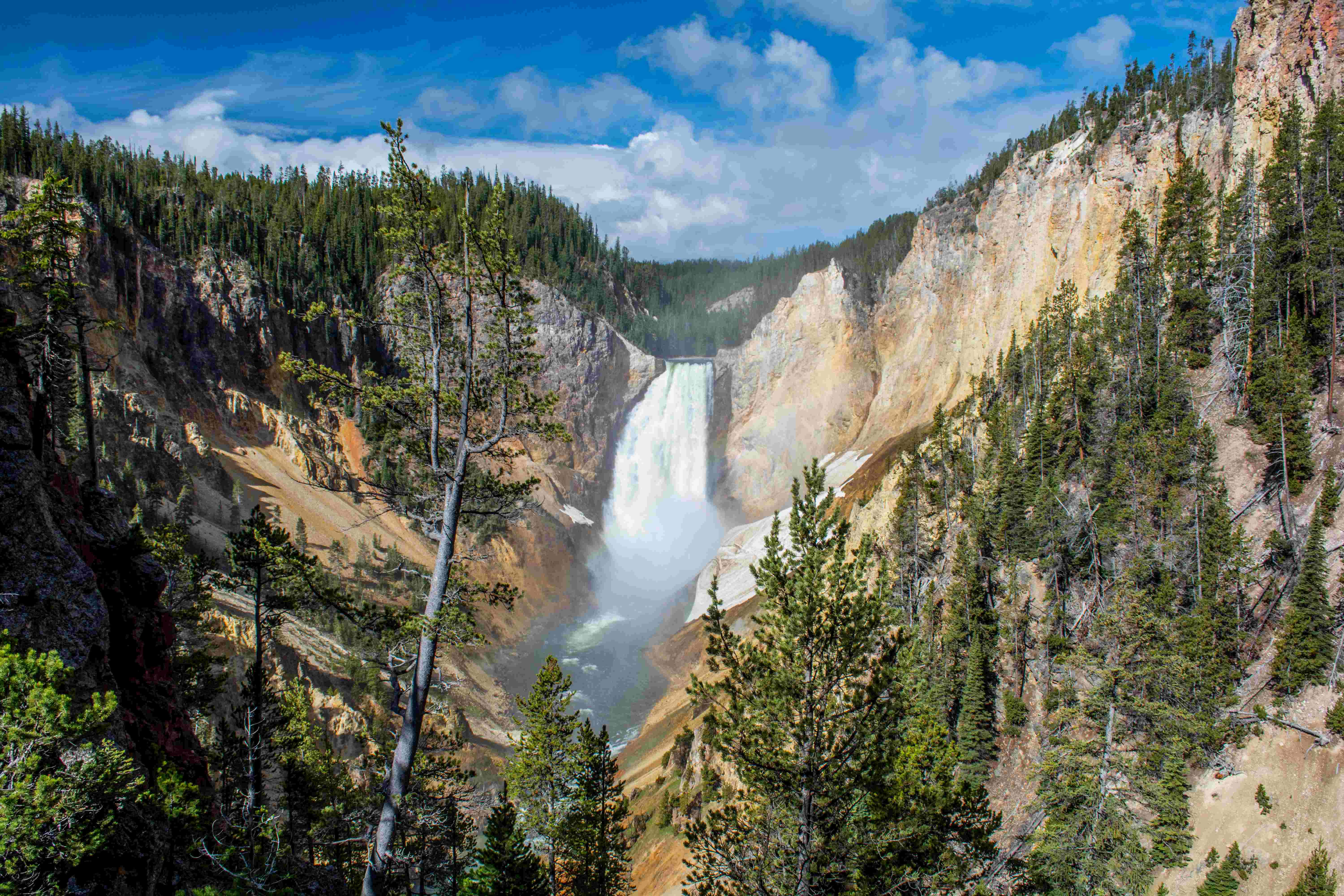 Yellowstone National Park Fly Fishing Guides
