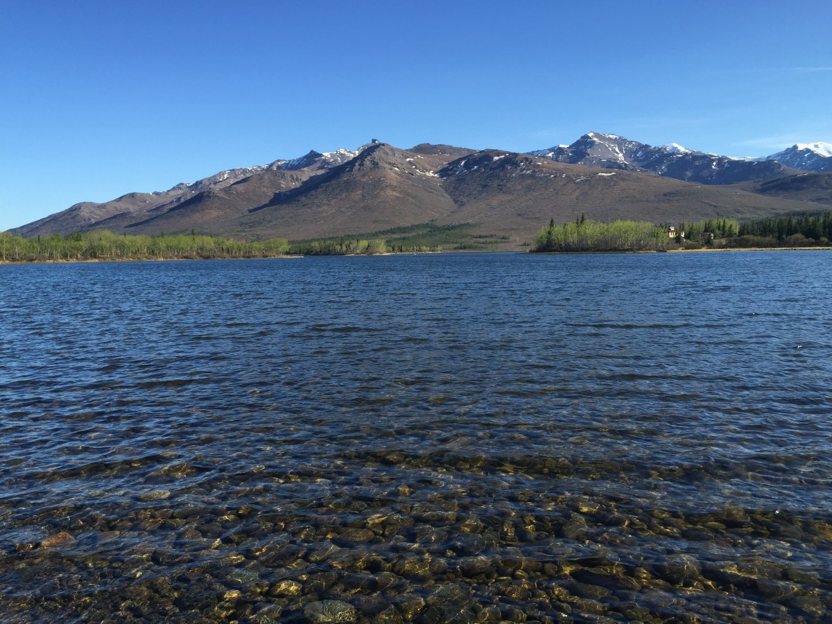 Otto Lake Healy Alaska The Trek Planner