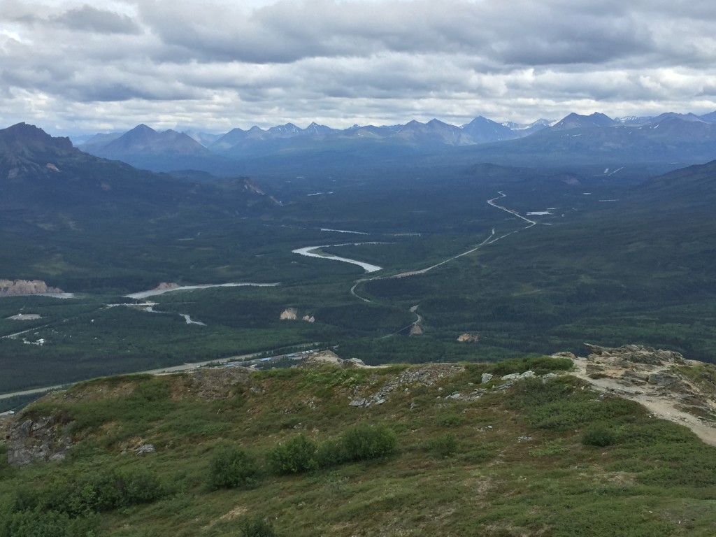 Mt. Healy Overlook Trail – Denali Alaska | The Trek Planner