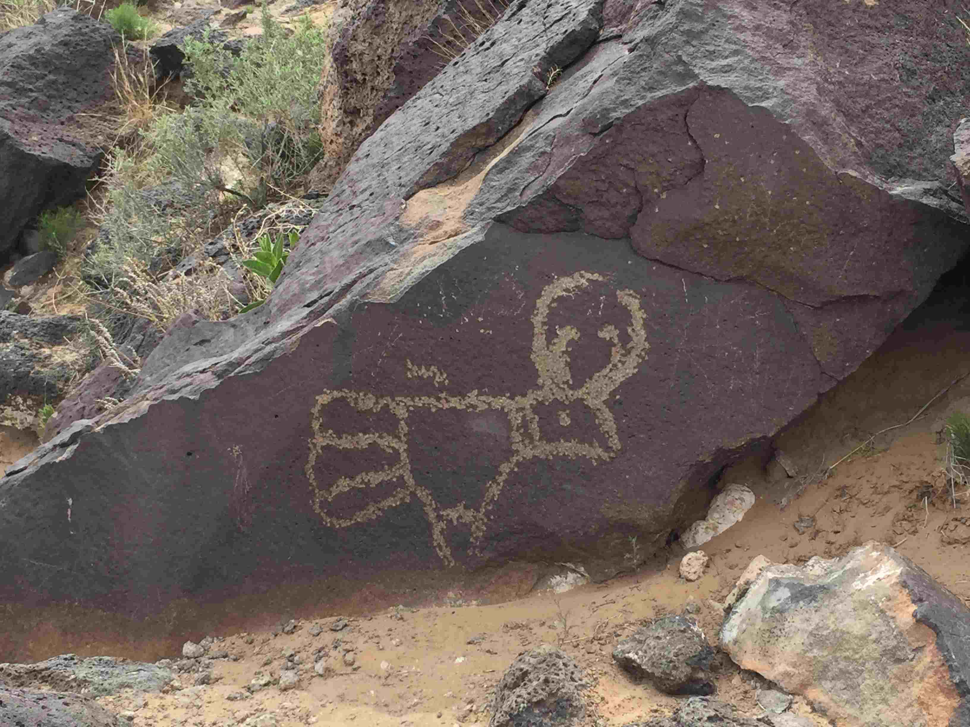 Boca Negra Canyon Trails - Petroglyph National Monument (U.S. National Park  Service)