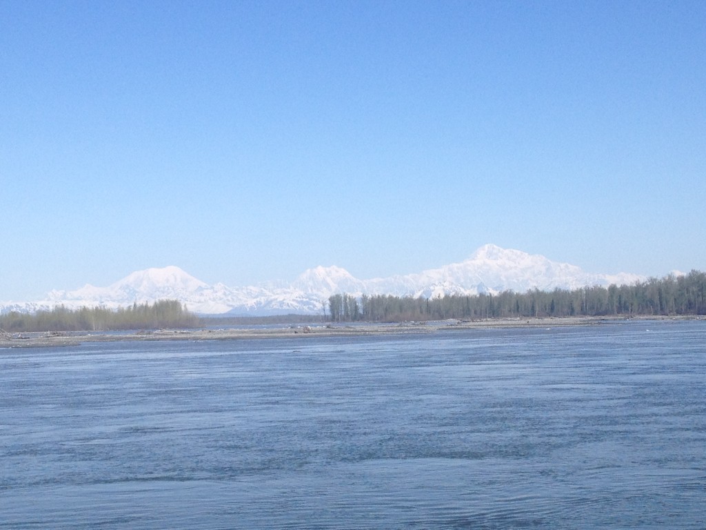 Seeing Denali from the banks of the Susitna river