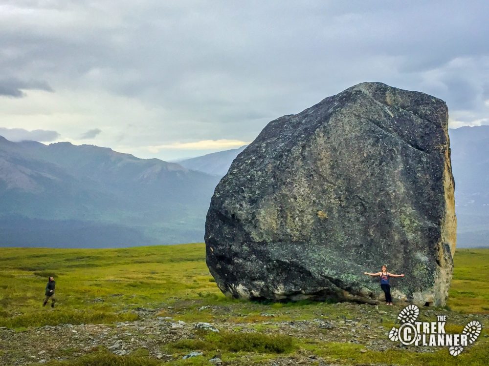 Glacier Erratics Denali National Park The Trek Planner