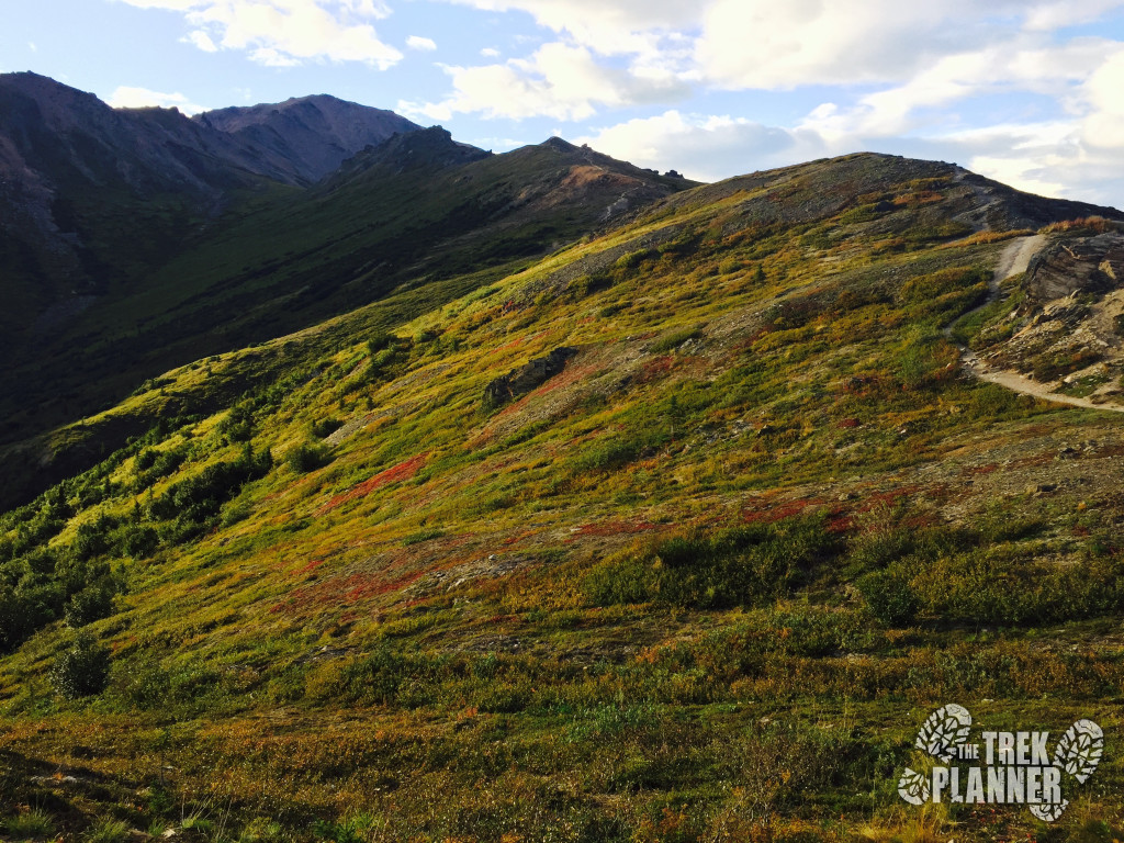 Denali National Park Visitor Center to Bison Gulch Hike - Denali Alaska