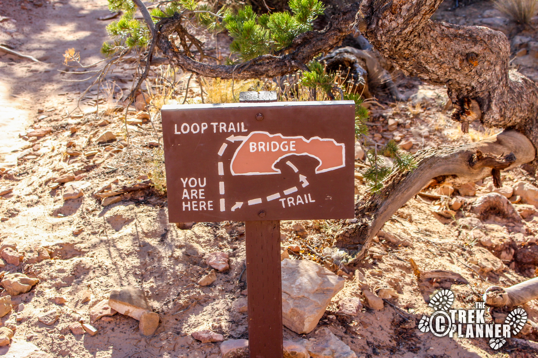 Hickman Bridge – Capitol Reef National Park | The Trek Planner