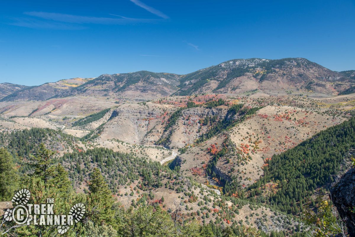 Jardine Juniper Tree – Logan Canyon, Utah | The Trek Planner