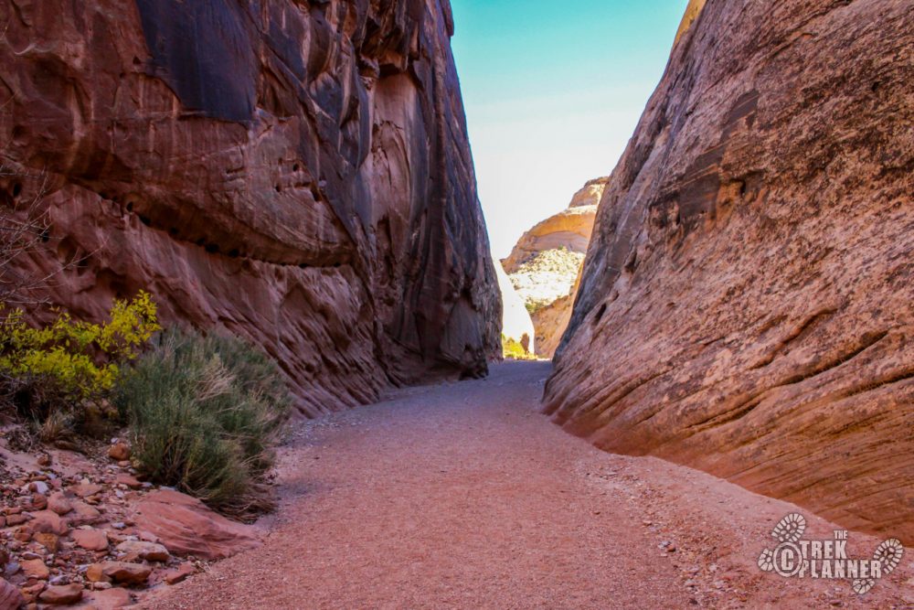 capitol reef national park hikes