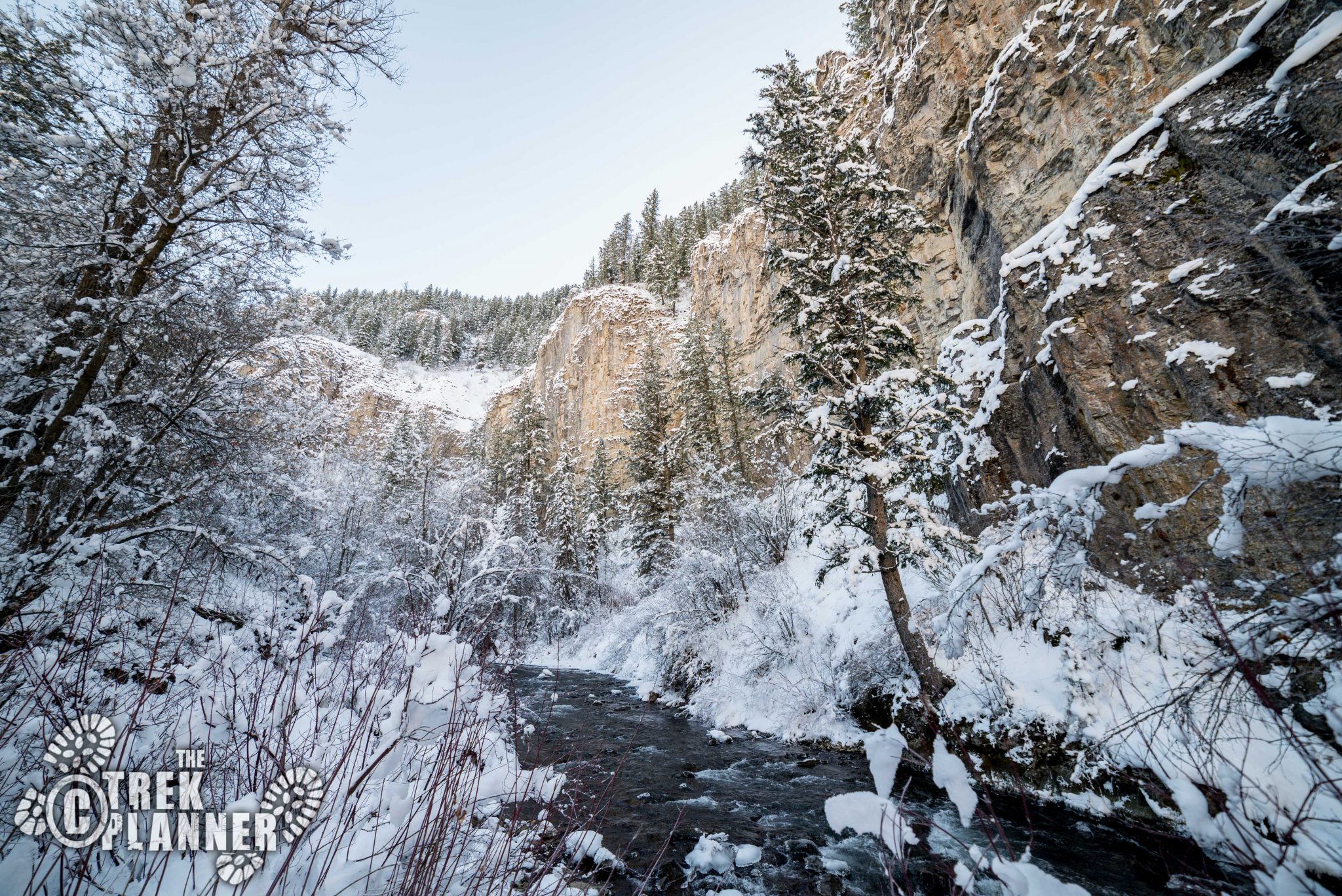 Logan Canyon Scenic Byway – Logan Canyon, Utah | The Trek Planner