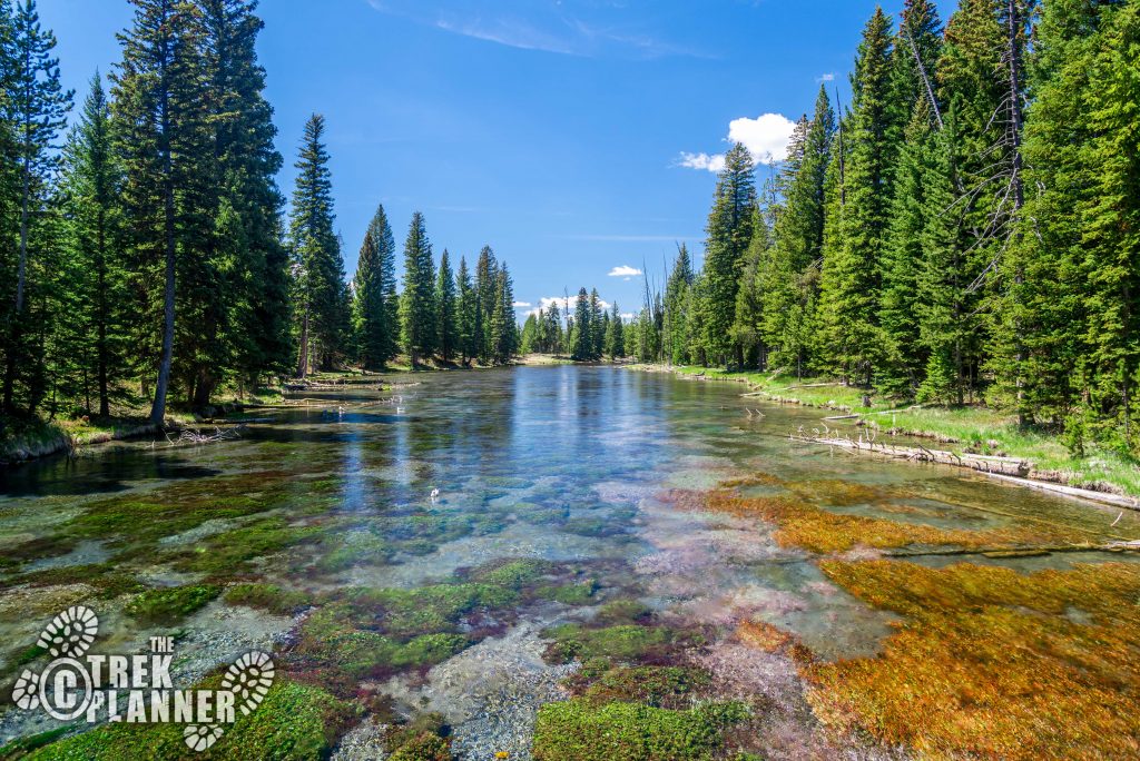 Big Springs Island Park Idaho The Trek Planner 4043