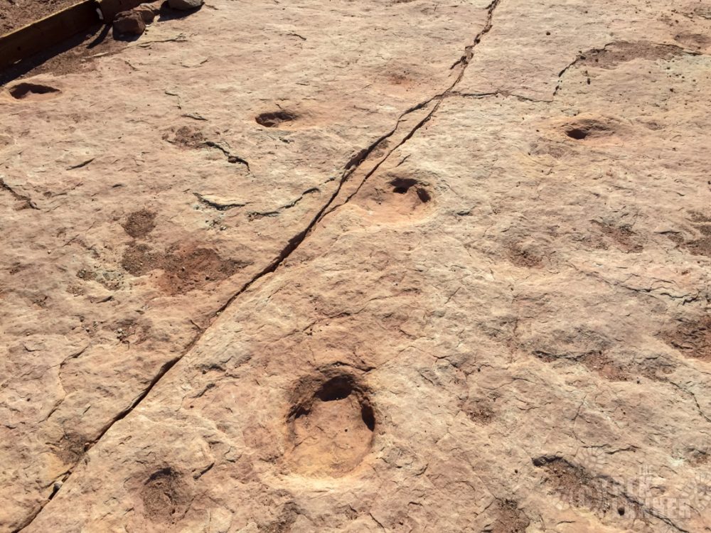 zion national park dinosaur tracks