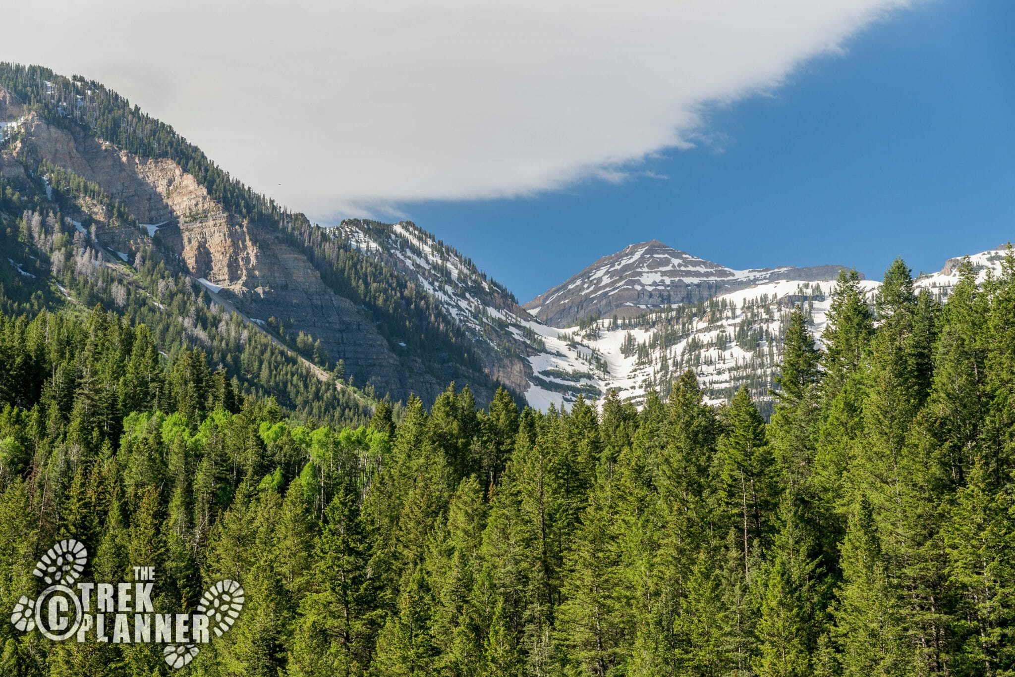 Alpine Loop Scenic Drive Utah The Trek Planner