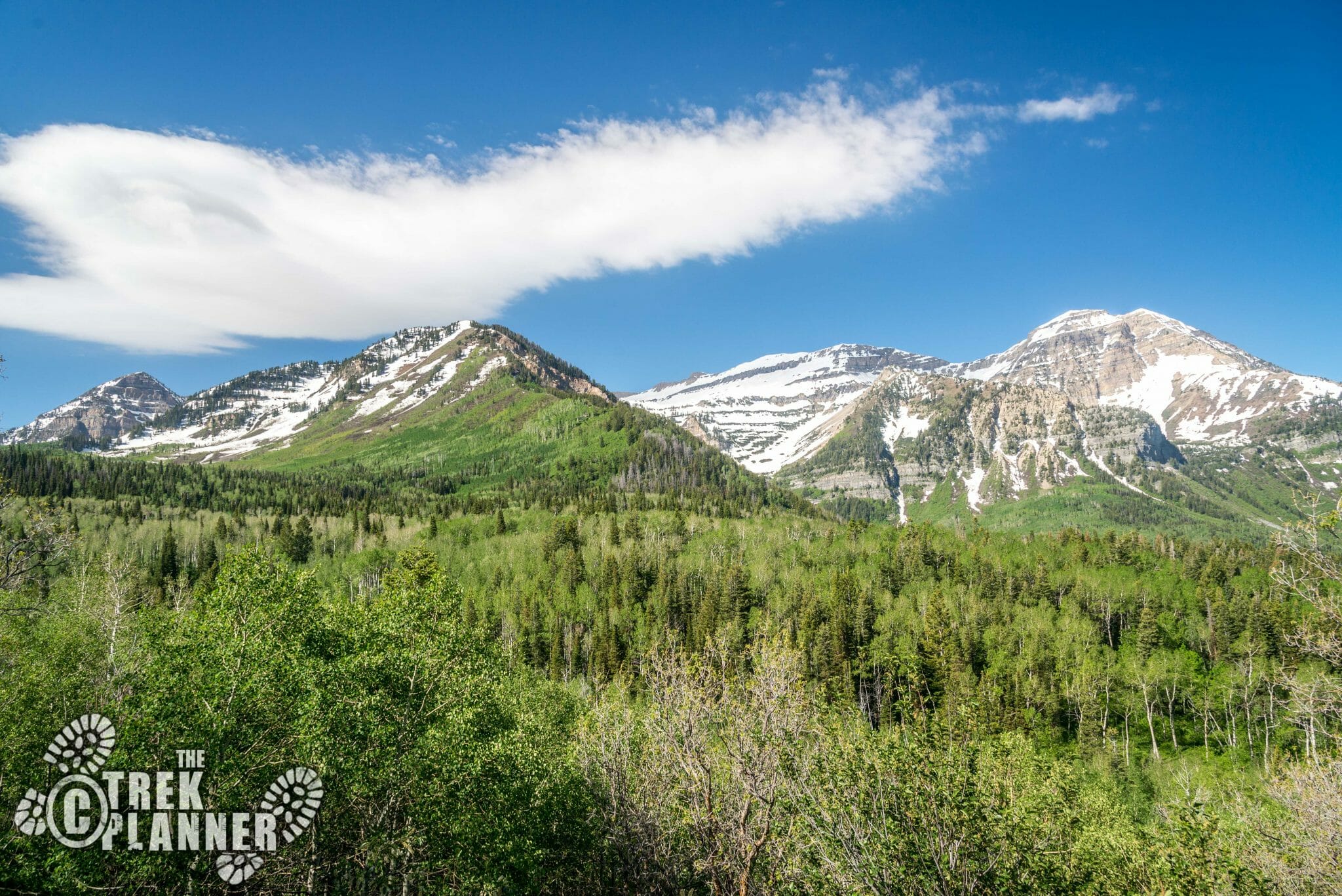 Alpine Loop Scenic Drive Utah The Trek Planner