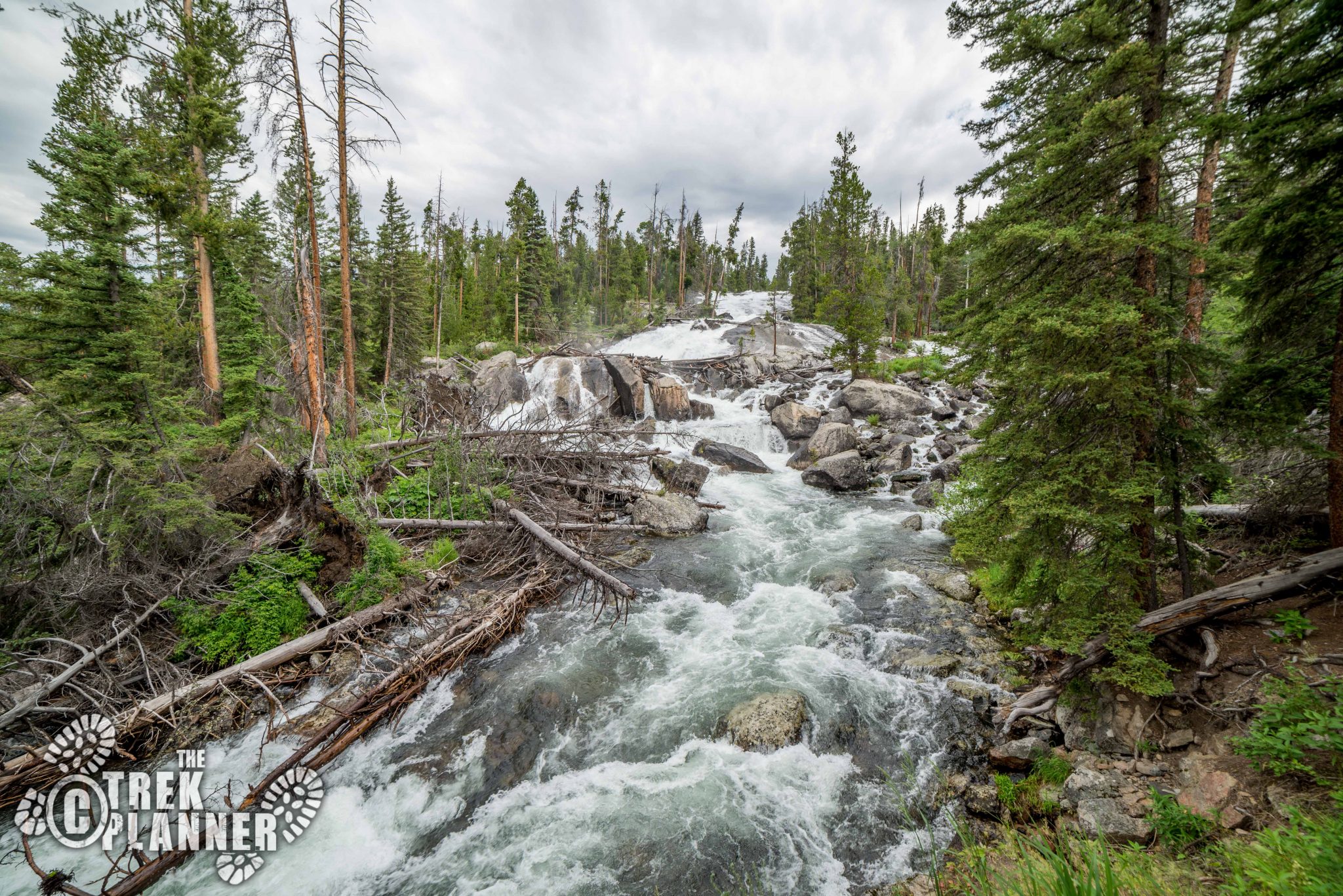 Crazy Creek Falls – YellowstoneBeartooth Highway – Montana | The Trek 