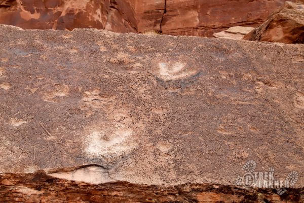 Poison Spider Dinosaur Tracks and Petroglyphs - Moab Utah