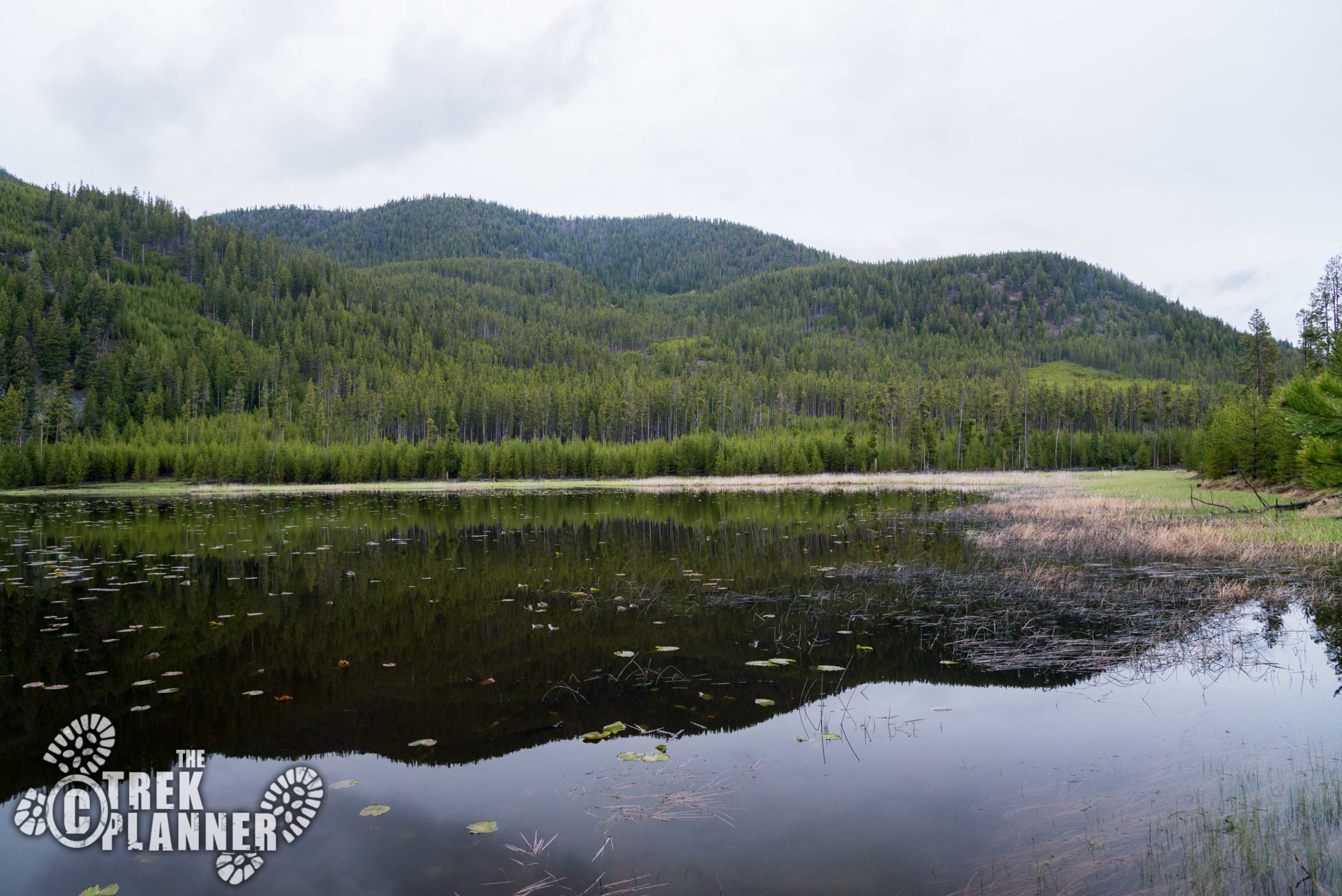 harlequin lake yellowstone