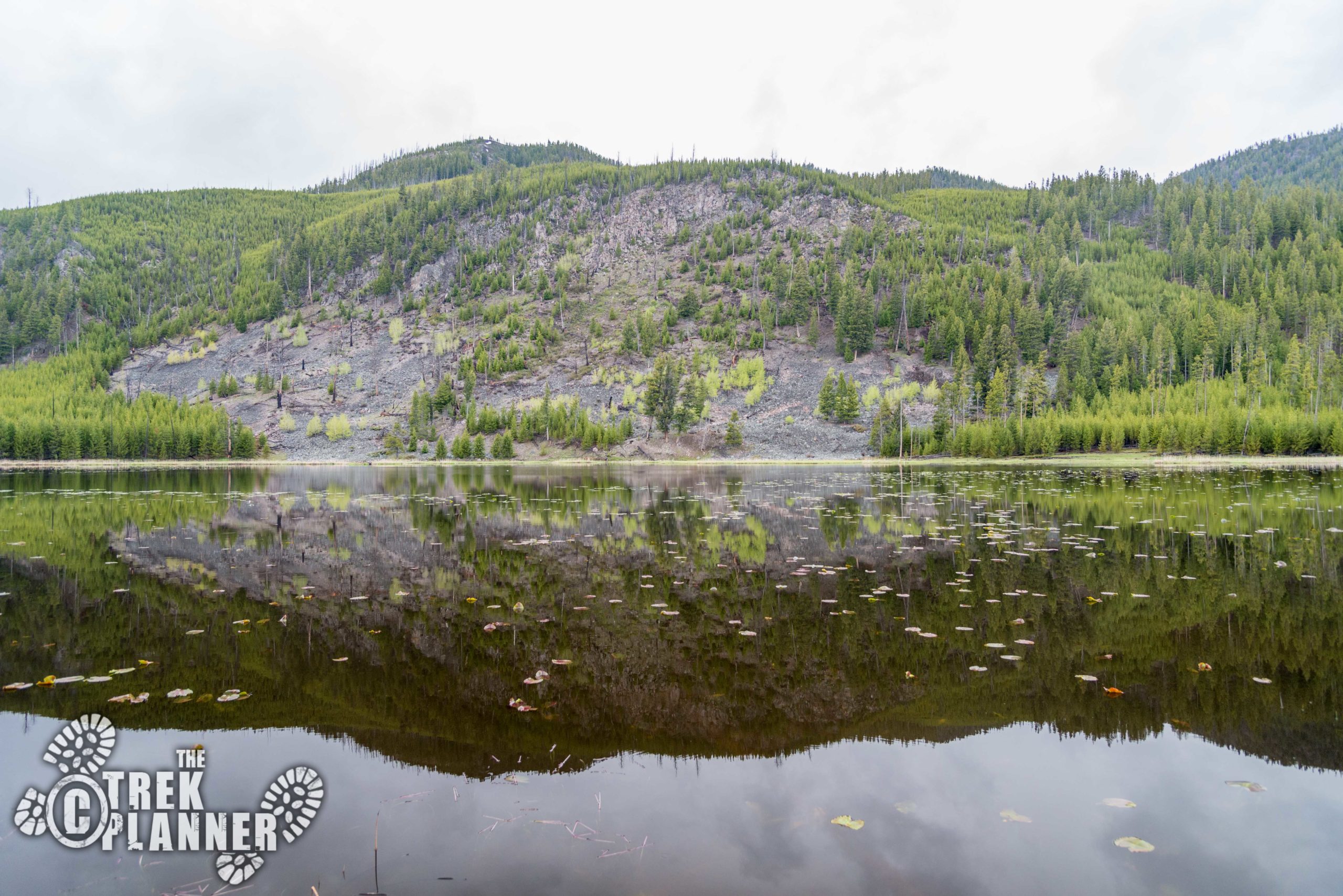 harlequin lake yellowstone