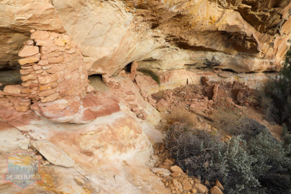 Dry Wash Ruins - Comb Ridge, Utah