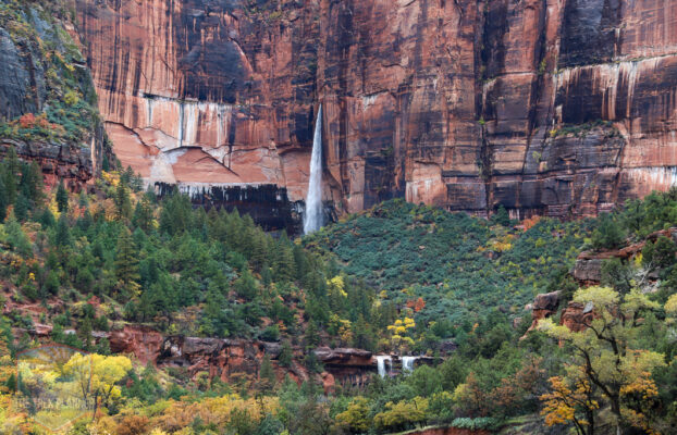 Fall, Snow, and Waterfalls in Zion National Park
